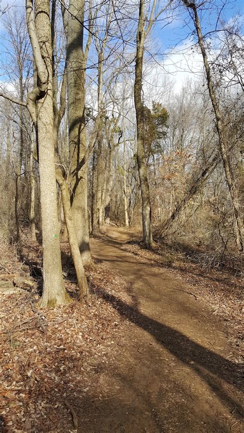 Crystal Lake Trail - New Jersey | AllTrails