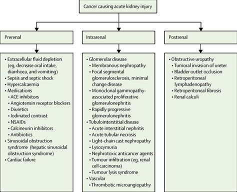 The link between kidney disease and cancer: complications and treatment ...