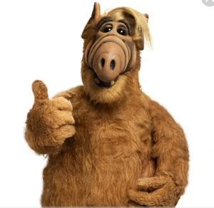 Create meme "alf, Alf series" - Pictures - Meme-arsenal.com