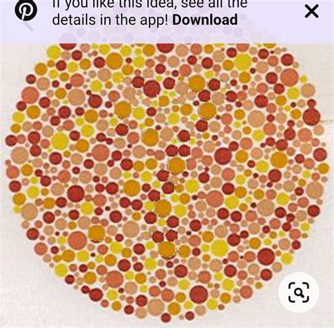 How can I test if I have Protanomaly or deuteranomaly : r/ColorBlind