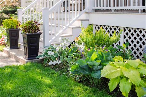 12 Hosta Garden Design Ideas to Bring Your Yard to Life