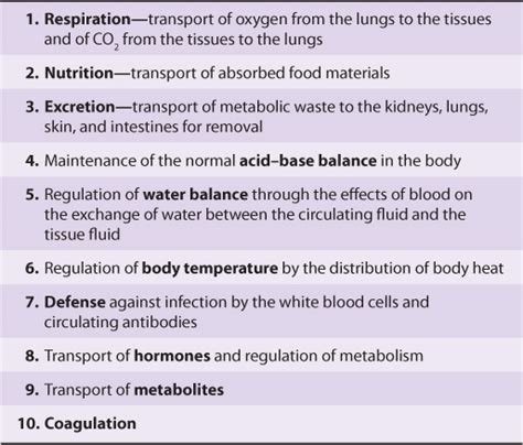 Plasma Proteins & Immunoglobulins | Basicmedical Key