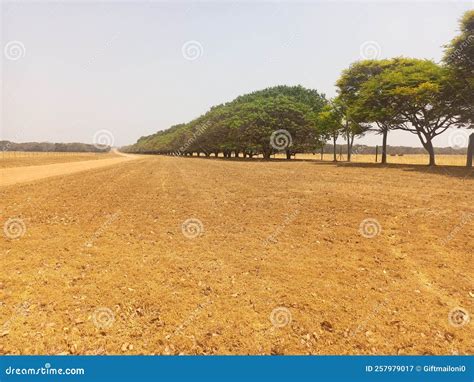 Nature landscape greenland stock image. Image of farm - 257979017