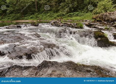 Mountain River with Small Waterfall, Rocks, Forest Stock Image - Image of fault, rest: 140787611