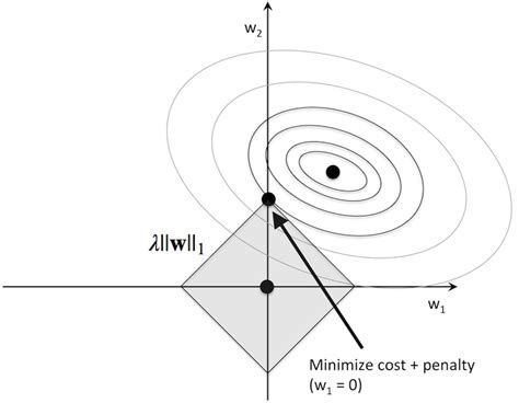 L2 and L1 Regularization in Machine Learning - Pengfei Nie