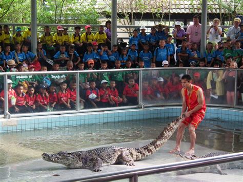 Bangkok Crocodile Farm