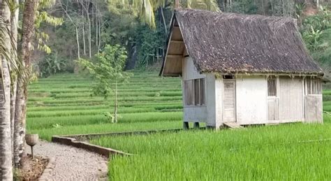 Kampung Naga, a Traditional Village in the Land of Sunda