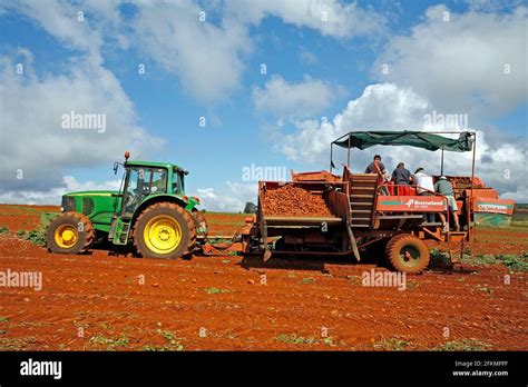 Potato harvesting machine hi-res stock photography and images - Alamy