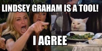 Meme Creator - Funny Lindsey graham is a tool! I agree Meme Generator at MemeCreator.org!