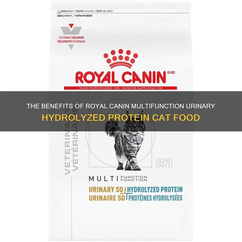 The Benefits Of Royal Canin Multifunction Urinary Hydrolyzed Protein Cat Food | PetShun