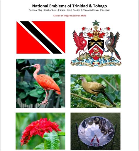 History of Republic Day in Trinidad and... - Ally Express TNT | Facebook