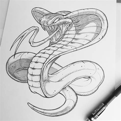 King Cobra Snake Sketch at PaintingValley.com | Explore collection of King Cobra Snake Sketch