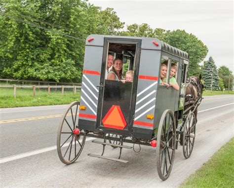 Deal: CertifiKid Exclusive! $45 for Amish Buggy Ride & Farm Tour for ...