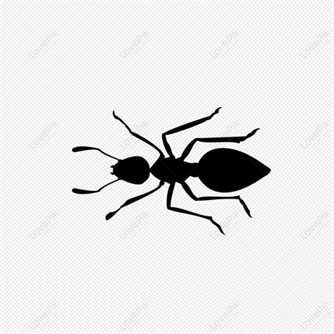 Animal Cartoons Handpainted Wind Black Ants PNG Image And Clipart Image For Free Download ...