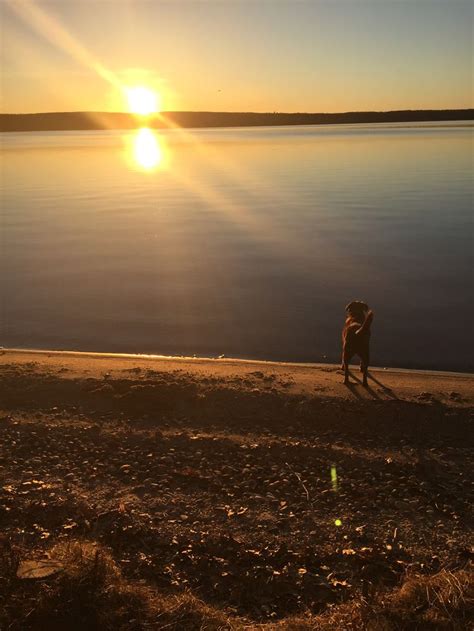 Hubbard Lake | Lake, Sunset, Outdoor