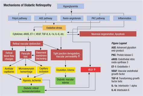 Reconsider Your Approach to Diabetic Retinopathy