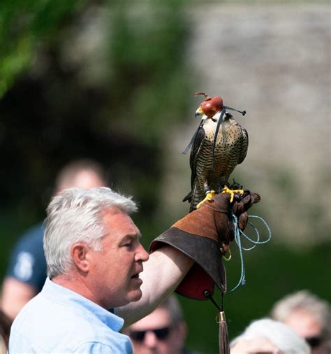 Dunrobin Castle Falconry: Feathers and Flair