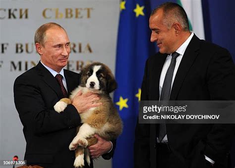 342 Vladimir Putin Dog Stock Photos, High-Res Pictures, and Images - Getty Images