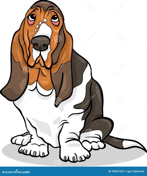 Basset Hound Dog Cartoon Illustration | CartoonDealer.com #29607322