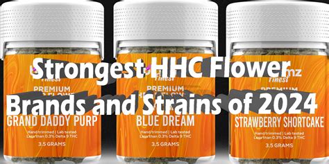 Strongest HHC Flower Brands and Strains of 2024