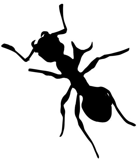 SVG > macro insect bite group - Free SVG Image & Icon. | SVG Silh