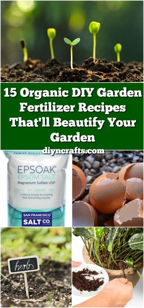 15 Organic DIY Garden Fertilizer Recipes That'll Beautify Your Garden ...