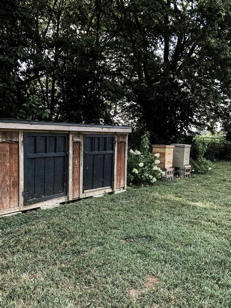 Backyard Beekeeping for Beginners - Rocky Hedge Farm