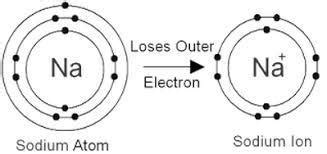 Show diagrammatically the electron distribution in a sodium atom and a ...