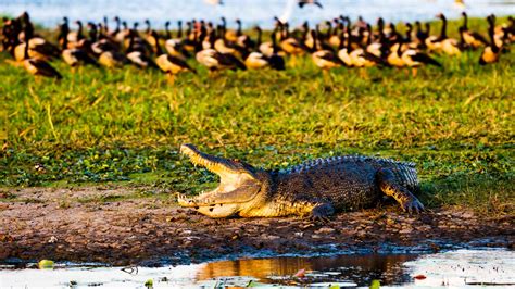 Kakadu National Park Adventure Tours - Journeys International