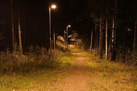 Forest trail at night Photograph by ShoreStone Photography