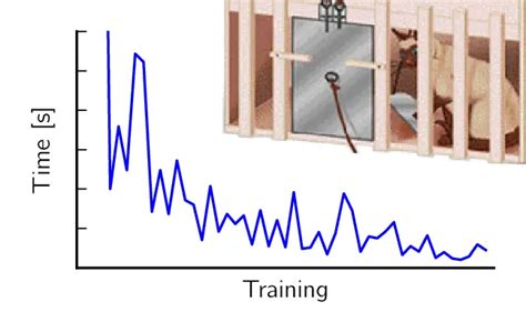 Edward L Thorndike Law of Effect | Thorndike Theory of Learning – Home Deco