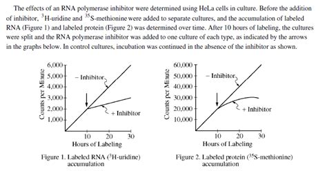 Solved The effects of an RNA polymerase inhibitor were | Chegg.com