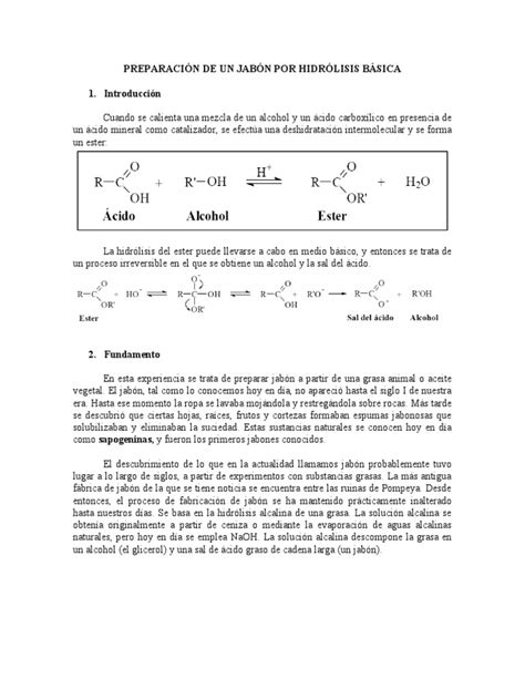 Hidrolisis Basica-Jabones | PDF | Jabón | Sal (química)