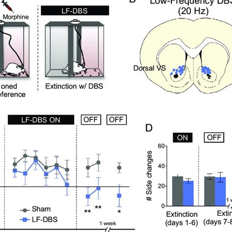 High-frequency deep brain stimulation (HF-DBS) of dorsal– ventral... | Download Scientific Diagram