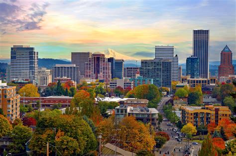 Here’s how to cut your own Christmas tree in one of Oregon’s national ...