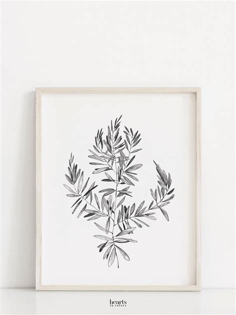 Olive Print Digital Prints Botanical Print Botanical Wall - Etsy