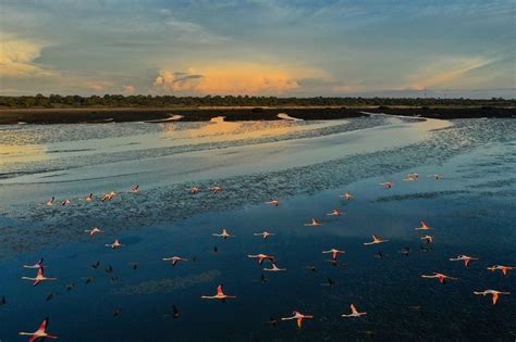 Arthur Carvalho, "Flamingos bay", Mussulo, Angola.