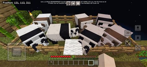 got a brown panda after 3rd breed : r/Minecraft