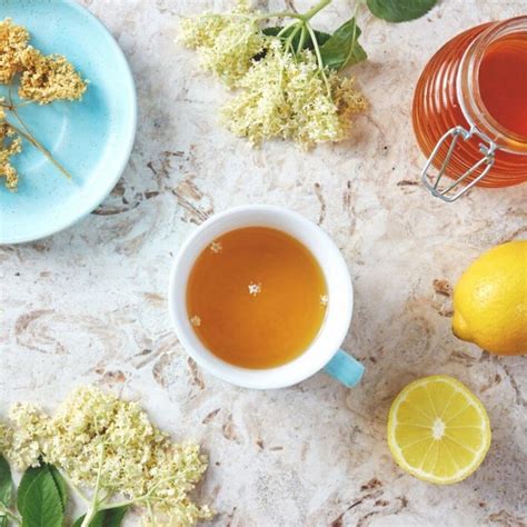 Elderflower Tea: An Easy Recipe + Healing Benefits - A Radiantly Healthy Life