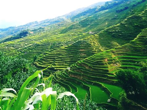 Yuanyang Rice Terraces (Yuanyang County): Top Tips Before You Go ...