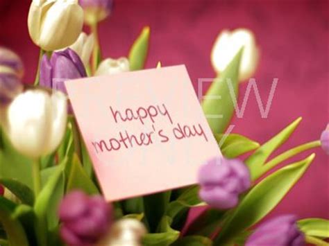 Happy Mother's Day Tulips | Motion Worship | WorshipHouse Media