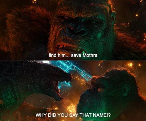 Memes / Godzilla vs. Kong - TV Tropes