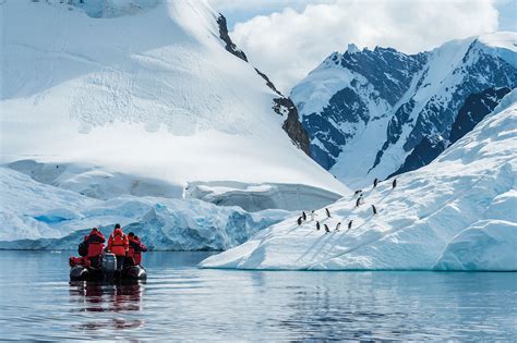 Ponant and National Geographic Expeditions launch three new Antarctic ...