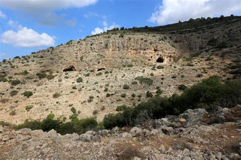 The Nature of Western Galilee Stock Image - Image of summer, nature ...