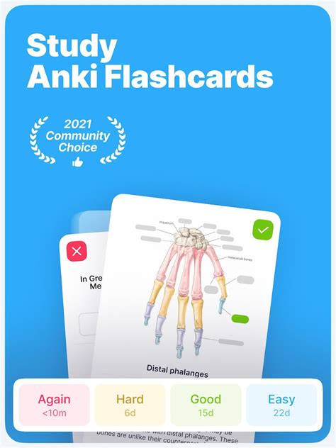 Anki Pro: Study Flash Cards Android 版 - 下载