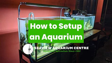 How to Setup an Aquarium | Seaview Aquarium Centre