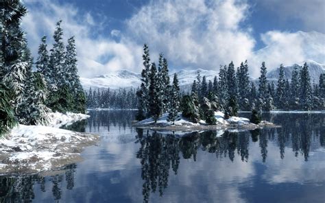 Winter Forest Desktop Wallpapers - Wallpaper Cave