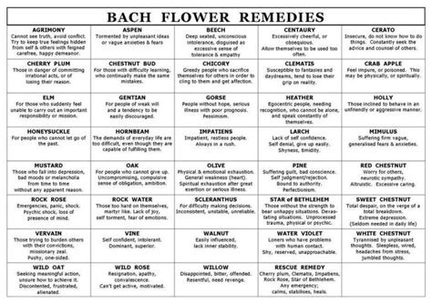 BachFlowerRemediesChart – Rain Shadow Reiki | Bach flowers, Flower remedy, Bach remedy