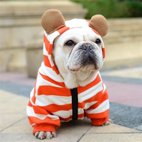 Clothes for Frenchies – frenchie Shop