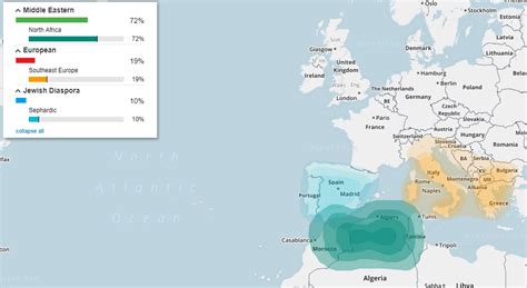 Berber dna result.